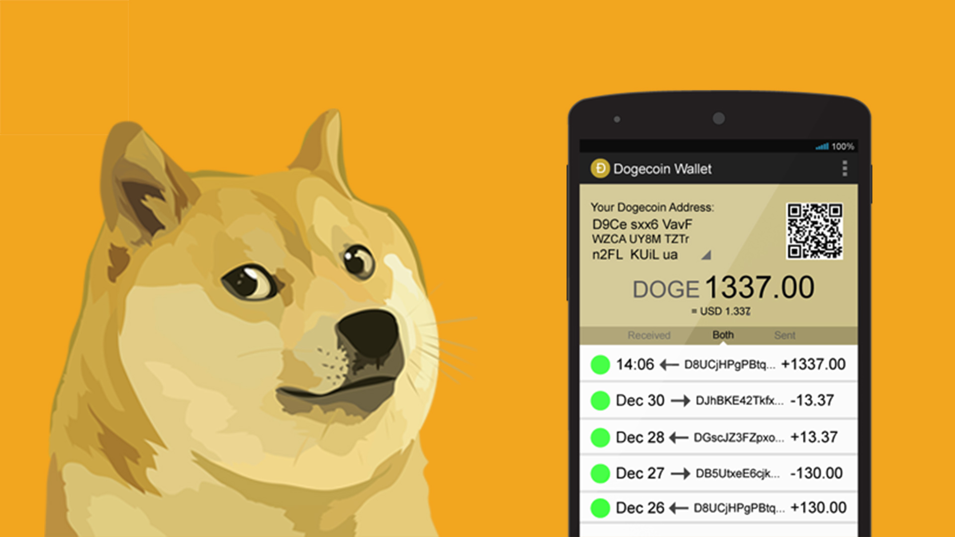 Dogecoin - InSight